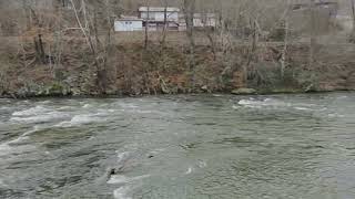 WaterDive122 Travel Vlog 15 Best Western River Escape Dillsboro NC [upl. by Catharine]