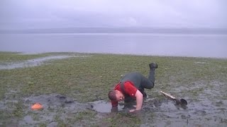 WA Shellfish Quest EP 15 Geoduck [upl. by Eseela3]