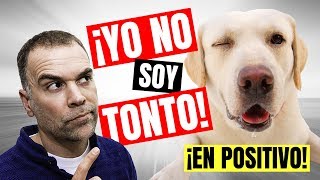 Y tu Pensando que tu PERRO era TONTO 😉 [upl. by Tipton]