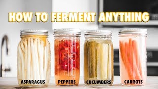 The Guide to LactoFermentation How To Ferment Nearly Anything [upl. by Yann]