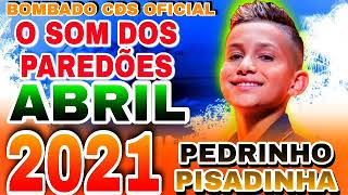 Pedrinho Pisadinha  CD Verão 2021  Completo [upl. by Neenad]