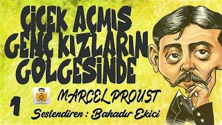 Çiçek Açmış Genç Kızların Gölgesinde Kayıp Zamanın İzinde 2 Kitap  Marcel Proust 1Parça [upl. by Hermione]