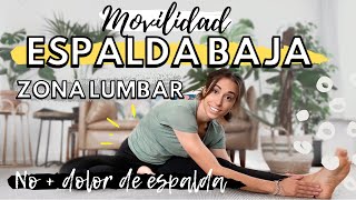 DOLOR DE ESPALDA BAJA Rutina movilidad estilo ROMWOD estiramientos para espalda baja y zona lumbar [upl. by Eahsal]