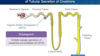 Dolutegravir Pros and Cons Are There Any Cons [upl. by Shatzer]