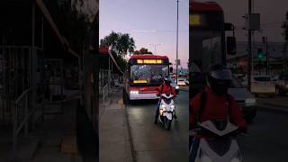 ByD eléctrico articulado y Shong Tong eléctrico 🇨🇱😮 transantiago buses busologiachilena [upl. by Uchish]