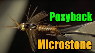 Poxyback Microstone Stonefly Nymph Fly Tying  Mike Mercer Fly Pattern [upl. by Selassie]