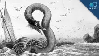 Real Life Sea Monsters [upl. by Kellby]