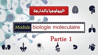 Biologie moléculaire partie 1 ADN et ARN et ribosomes quoteucaryote et procaryotequot البيولوجيا بالدارجة [upl. by Anileme434]