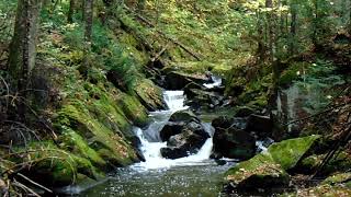 Waterfalls on Belleau Creek [upl. by Nivrek]