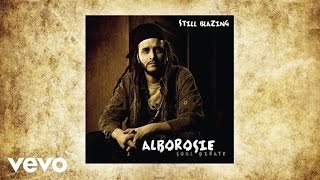 Alborosie  Still Blazing audio [upl. by Naryk]