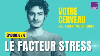 Votre cerveau perd les pédales  le facteur stress avec Albert Moukheiber 66  saison 1 [upl. by Atikan]