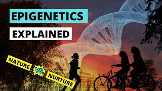 Epigenetics explained simply  Nature vs Nurture [upl. by Mapes]