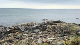 Sea views coverack cornwall satisfying sea water coverack seaviews peaceful lovelyviews [upl. by Emearg290]