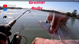 OFFROAD4LIFE Fishing Grunter Gully Durban South Africa [upl. by Centeno272]