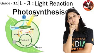 L 3 Photosynthesis in Higher Plants  Class 11 Biology  NEET 2020  AIIMS  Vaani Maam VBiotonic [upl. by Travus758]