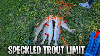 Texas Trout Fishing At The Wallisville Dam Limit Out Catch Clean amp Cook  Winter Conditions [upl. by Huxham136]