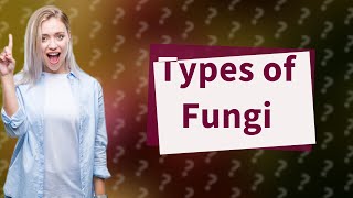 What are the four types of fungi [upl. by Mercer]