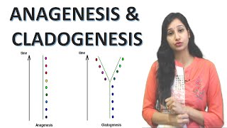 Anagenesis and Cladogenesis I Speciation I Evolution I Lamarckism and Darwinism [upl. by Airretnahs968]