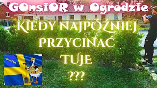 Kiedy najlepiej przycinać TUJE  GOnsiOR w Ogrodzie  Na wesoło [upl. by Corney54]