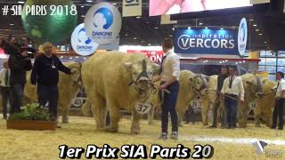 JINGLE  SIA Paris 2018 by Simon Genetic [upl. by Robina129]