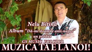 COLAJ ALBUM NELU BITAINA  DAMI DOAMNE ANIINAPOI [upl. by Galvin430]