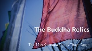 Reliques du Bouddha à Dhagpo · Discours du 17e Karmapa  Mars 2014 [upl. by Lev953]