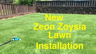 Newly Installed Zeon Zoysia Lawn in Moanalua [upl. by Elfont]