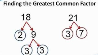 How to find the greatest common factor  from TutaPointcom [upl. by Nej304]