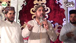 New Punjabi Naat Sharif  Ahmed Ali Hakim Best Naats 2017 Hussain kiya hain [upl. by Etiragram]