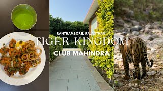 Tiger Kingdom Ranthambore  Club Mahindra Ranthambore  Complete Resort Tour [upl. by Dane]