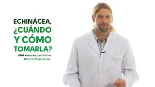 Echinácea cuándo y cómo tomarla Tu Farmacéutico Informa  PlantasMedicinales [upl. by Teeter28]