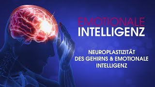 01 Neuroplastizität des Gehirns amp emotionale Intelligenz  Dr Neil Nedley [upl. by Farman84]