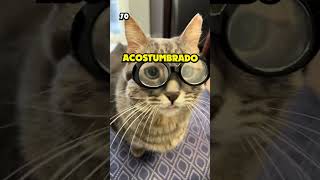 LO QUE TU VIDEOJUEGO FAVORITO DICE SOBRE TI EN 222 PALABRAS videojuegos humor gaming gatos lol [upl. by Safir]