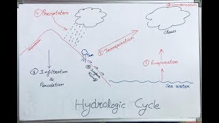 Hydrological Cycle Hindi Lecture I Water Cycle [upl. by Aicrag804]