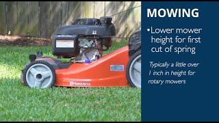 How to Mow Your Zoysia Lawn During the Spring Season [upl. by Trebliw]