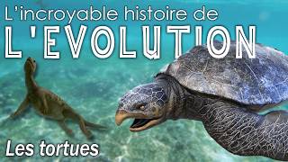 Aux origines des tortues  Évolution  Paléontologie  Simplex Paléo [upl. by Marston]