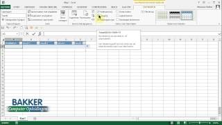 Excel gegevens invoeren [upl. by Eartnoed688]