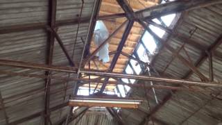 Abandoned Martinsburg Interwoven Mills Factory EXCERPT [upl. by Mattson]