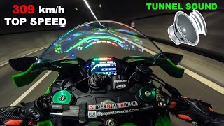 Meet The HULK  Kawasaki Ninja ZX10R Top Speed  Motorway Run [upl. by Accemahs]