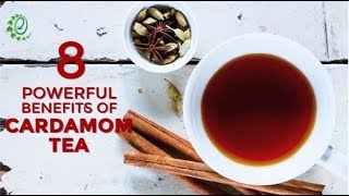 8 Powerful Benefits Of Cardamom Tea  Organic Facts [upl. by Euqram]