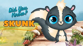 Did You Know  SKUNK for Kids  Learning Video for Kids  Fun Fact [upl. by Mcginnis937]