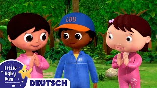 Naturmalerei  Kinderlieder  Little Baby Bum Deutsch  Cartoons für Kinder [upl. by Gensmer]