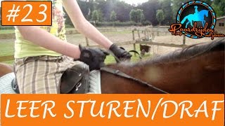 Paardrijden  Hoe leer je sturen en draven met je paard [upl. by O'Donovan]