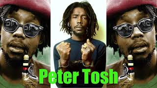 Peter Tosh  Conscious Reggae Music  The Best Reggae Music [upl. by Shel]