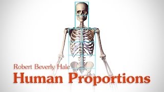 Human Figure Proportions  Cranial Units  Robert Beverly Hale [upl. by Larner]