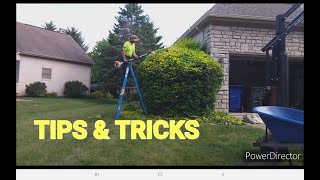 My Tips For Better Hedges  Hedge Trimming Is An Art lawncare hedgetrimming toroeeyewear [upl. by Yablon595]