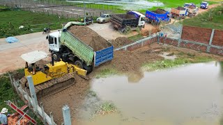 Start New Project Incredible Earthmoving KOMATSU D31 Bulldozer Teams with Trucks to Fill Land [upl. by Pollerd]