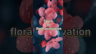 Types of floral aestivation [upl. by Tama1]