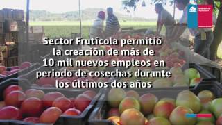 Fruticultura en la Araucanía [upl. by Jacklyn]