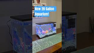 Our NEW Top Fin® LED Bubble Wall Aquarium 🐠 fishtank aquarium [upl. by Lek]